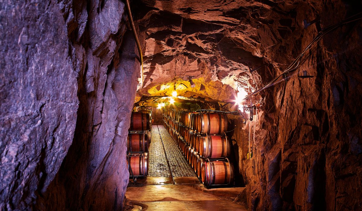 The Giaconda Cellar in Beechworth